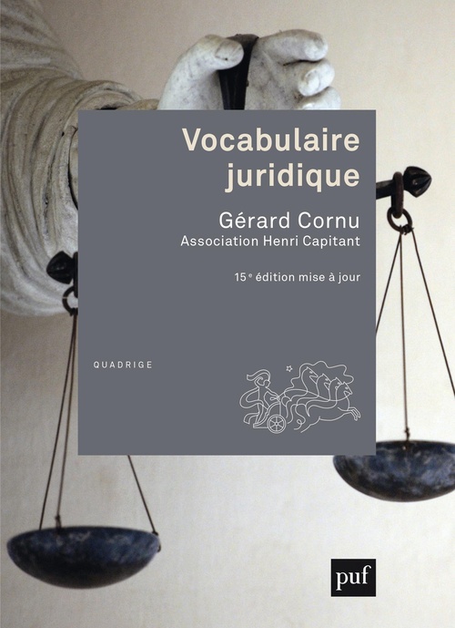 ebook cover of Vocabulaire juridique, by Gérard Cornu