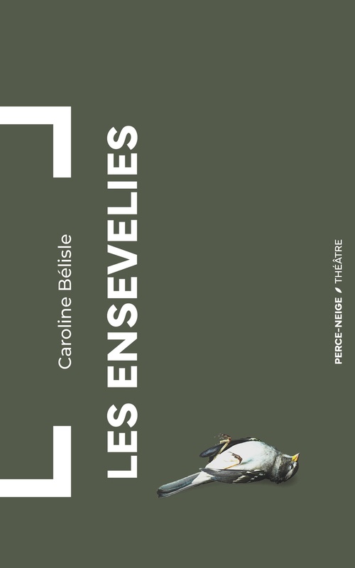 ebook cover of Les ensevelies, by Caroline Bélisle