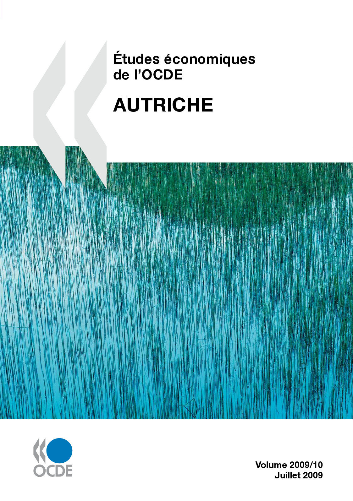 Couverture ebook de Études économiques de l'OCDE : Autriche 2009, de Collectif