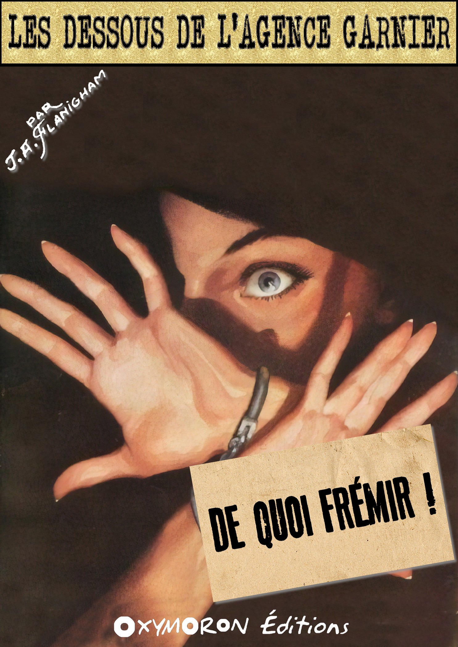 Couverture ebook de De quoi frémir !, de J.A. Flanigham