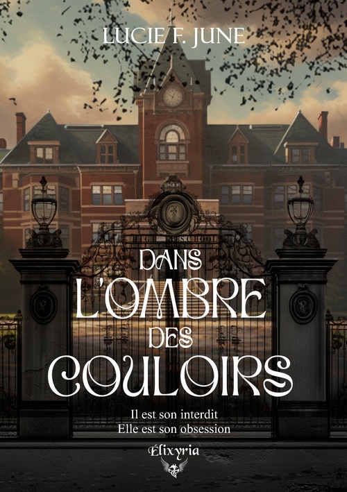 Couverture ebook de Dans l'ombre des couloirs, de Lucie F. June