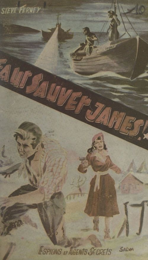 ebook cover of Faut sauver James !, by Steve Ferney