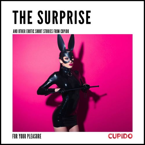 audiobook cover of The Surprise - and other erotic short stories from Cupido, by Cupido