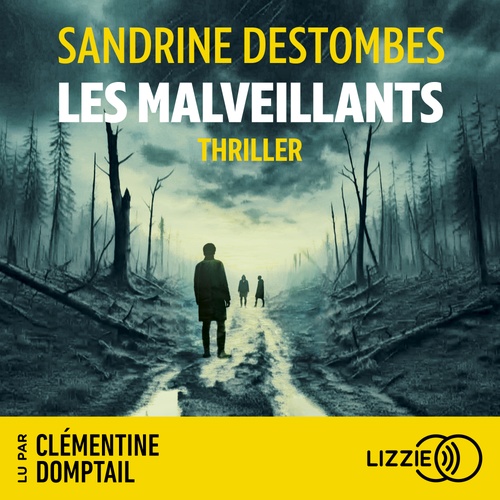 audiobook cover of Les malveillants, by Sandrine Destombes