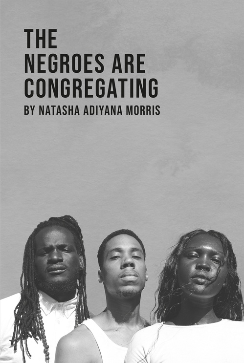 ebook cover of The Negroes Are Congregating, by Natasha Adiyana Morris