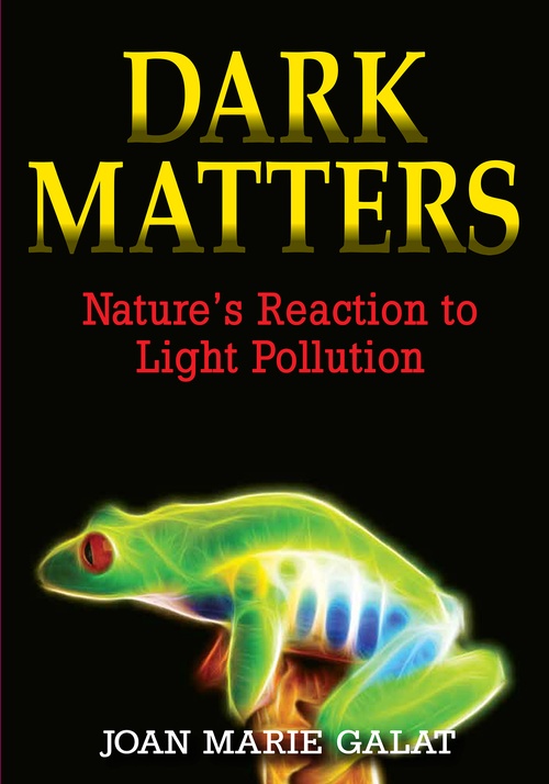ebook cover of Dark Matters, by Joan Marie Galat