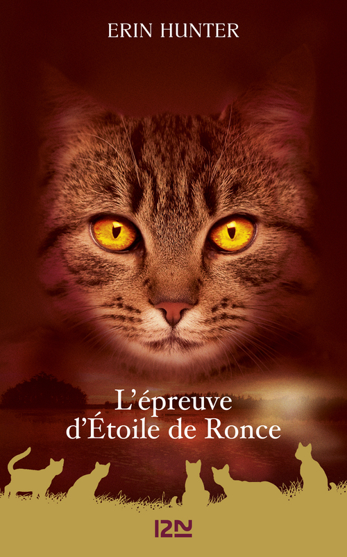 ebook cover of La guerre des clans - Hors-série 5 L'épreuve d'Etoile de Ronce, by Erin Hunter