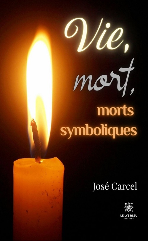 ebook cover of Vie, mort, morts symboliques, by José Carcel
