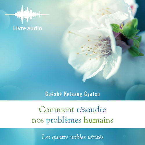 Couverture audiobook de Comment résoudre nos problèmes humains, de Guéshé Kelsang gyatso