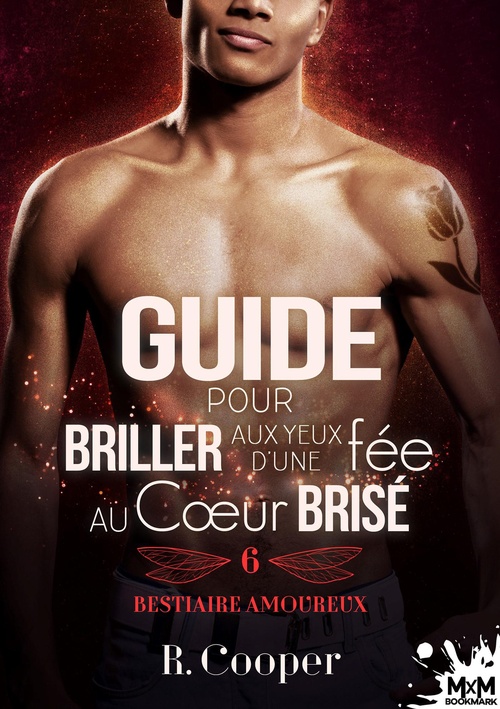 Couverture ebook de Guide pour briller aux yeux d'une fée au coeur brisé, de R. Cooper
