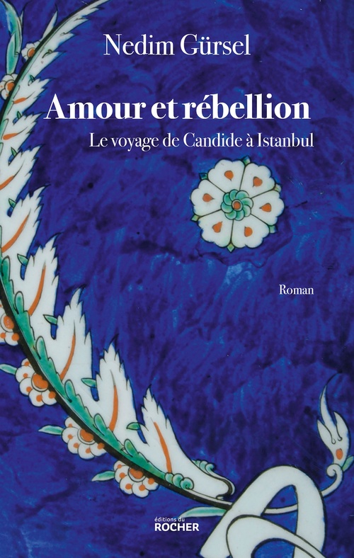 ebook cover of Amour et rébellion, by Nedim Gürsel