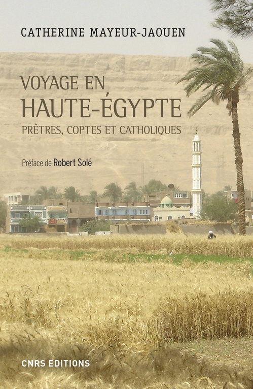 ebook cover of Voyage en Haute-Egypte, by Catherine Mayeur-Jaouen