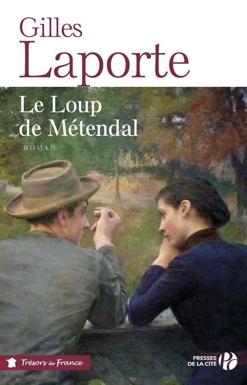 ebook cover of Le loup de Métendal, by Gilles Laporte
