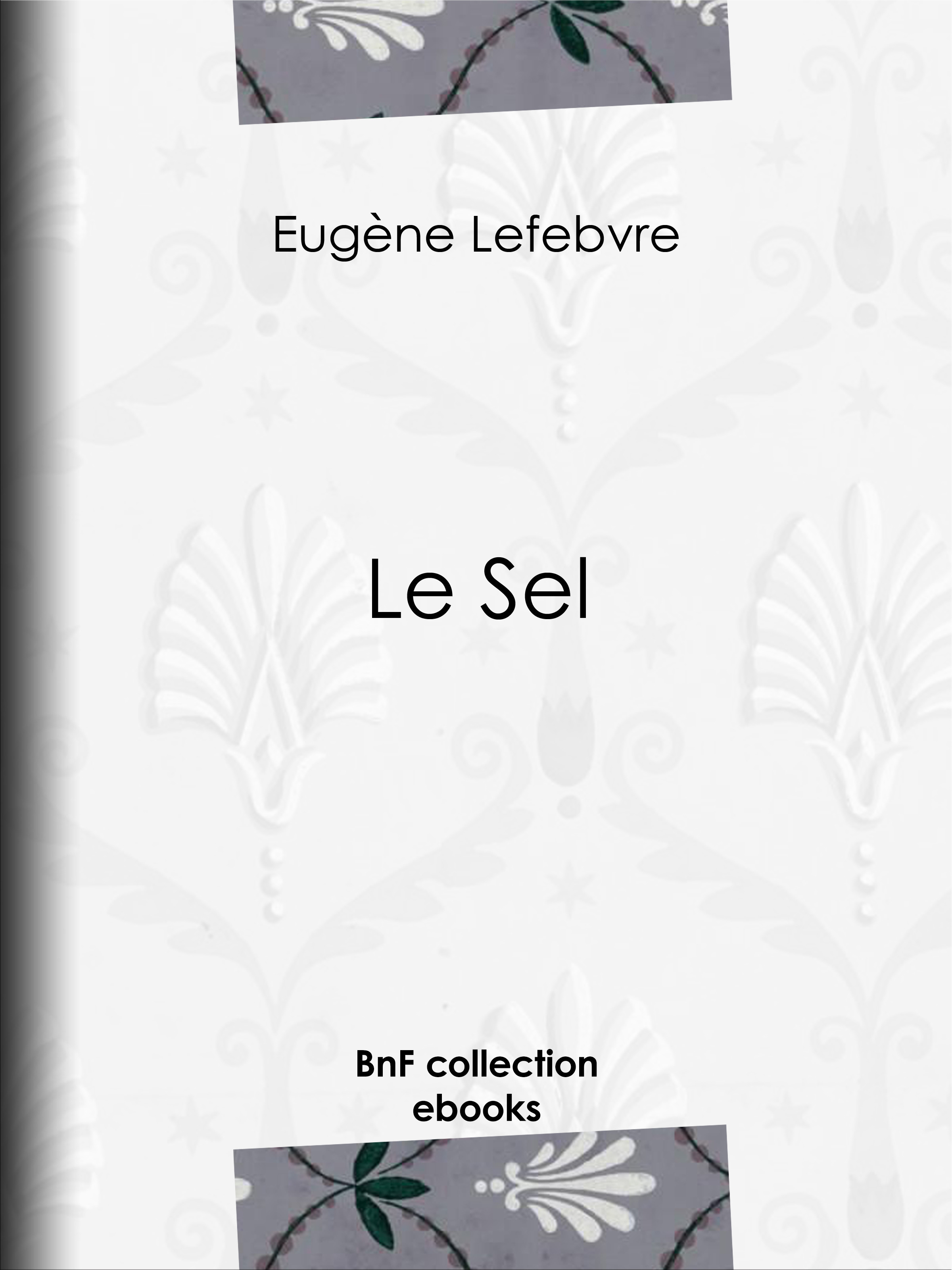 Couverture ebook de Le Sel, de Eugene Lefebvre