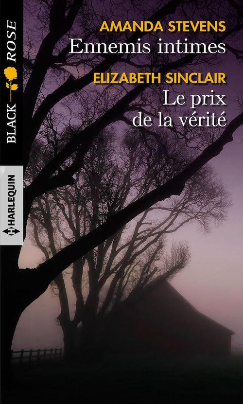 Couverture ebook de Ennemis intimes - Le prix de la vérité, de Elizabeth Sinclair, Amanda Stevens