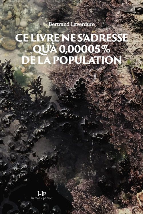 Couverture ebook de Ce livre ne s'adresse qu'à 0,00005% de la population, de bertrand Laverdure