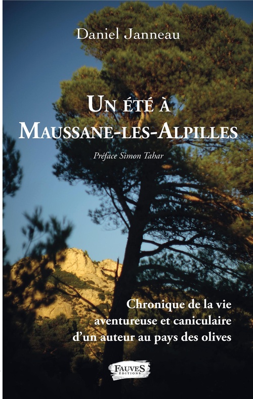 ebook cover of Un été à Maussane-les-Alpilles, by Daniel Janneau