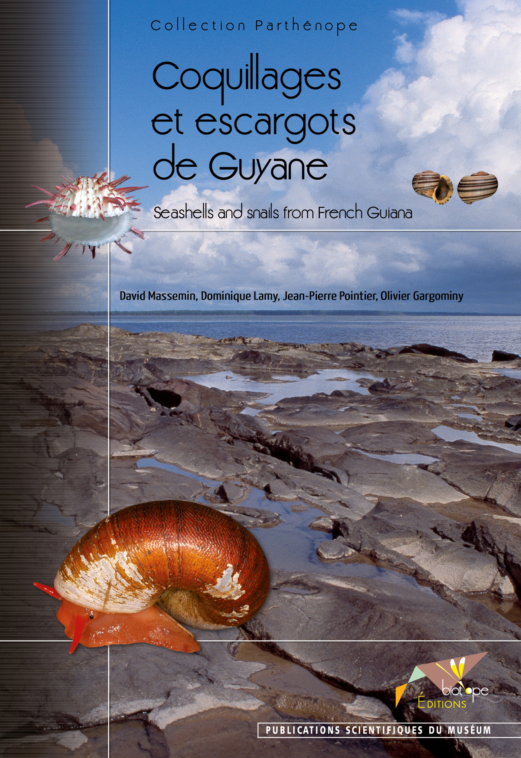 ebook cover of Coquillages et escargots de Guyane, by Massemin/Lamy/P