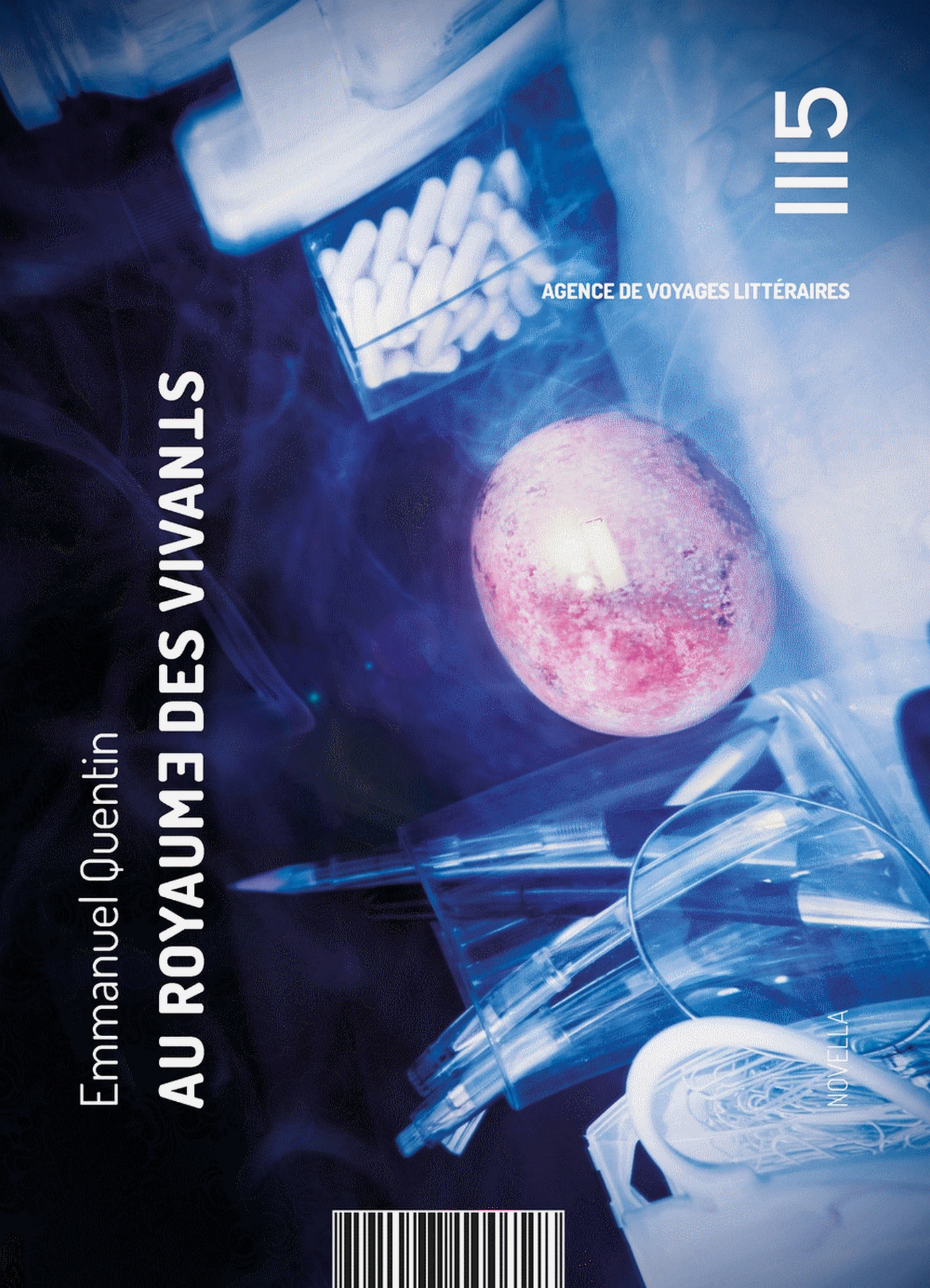 ebook cover of Au royaume des vivants, by Emmanuel Quentin