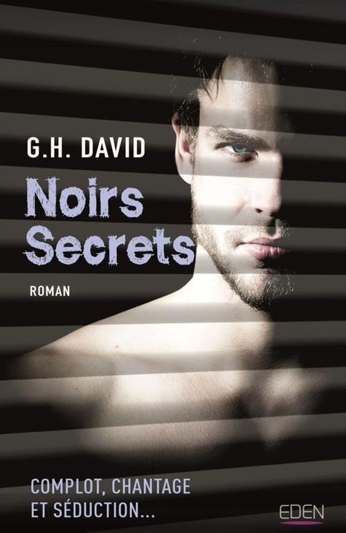 ebook cover of Noirs secrets, by G.H. David