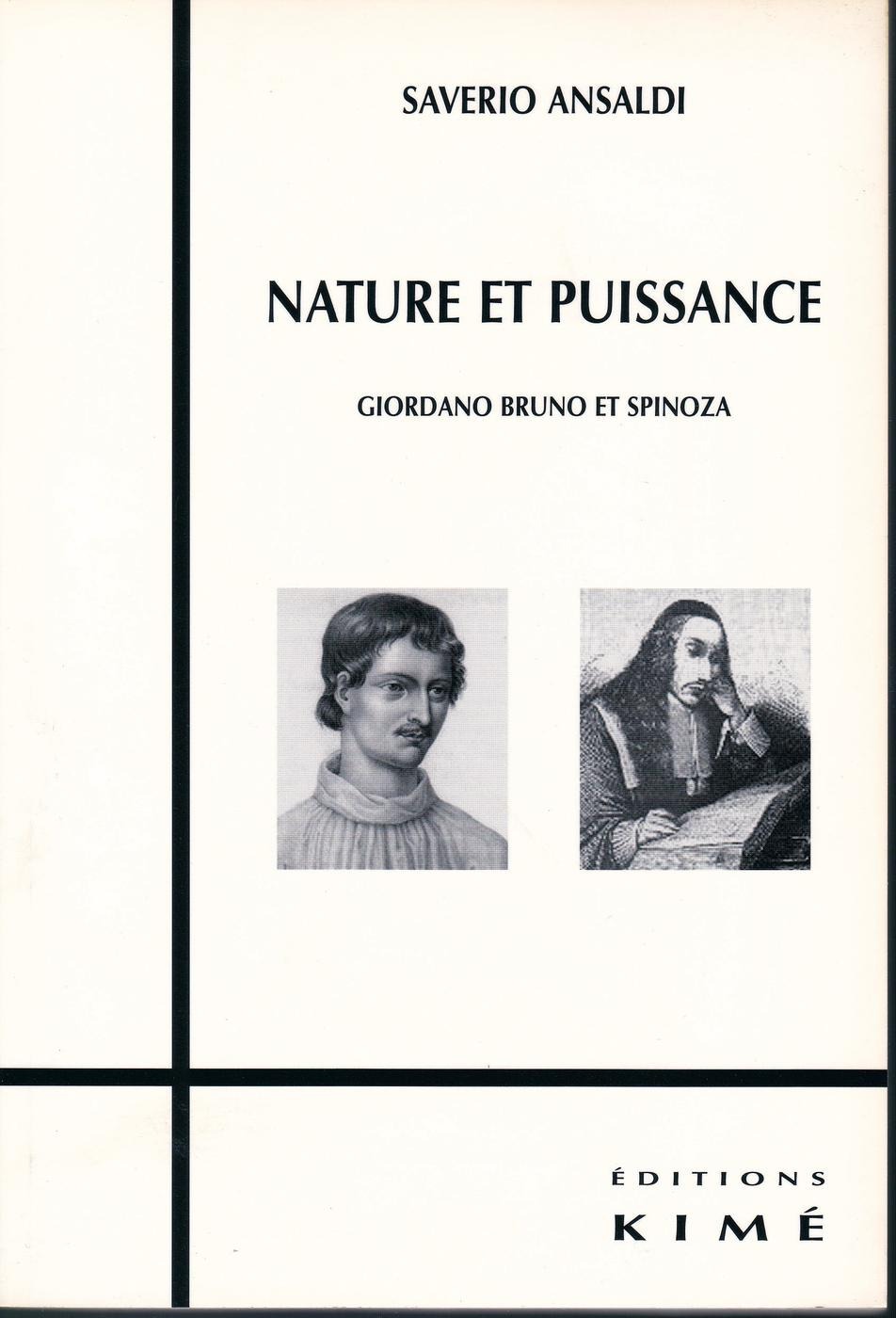 ebook cover of NATURE ET PUISSANCE, by ANSALDI SAVERIO