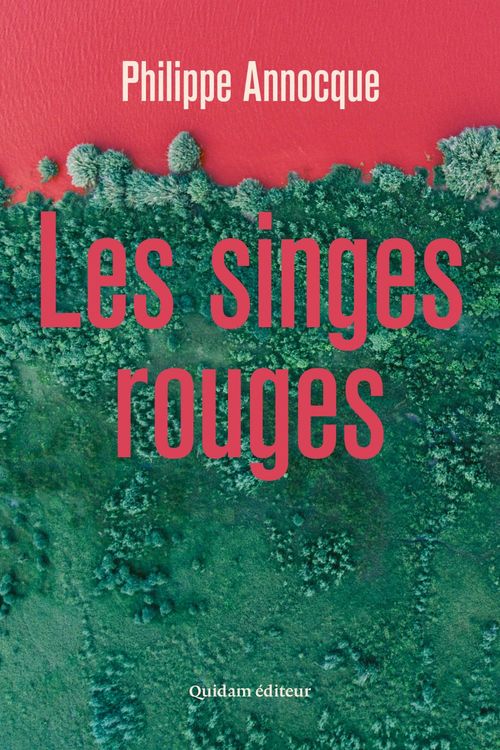 ebook cover of Les Singes rouges, by Philippe Annocque