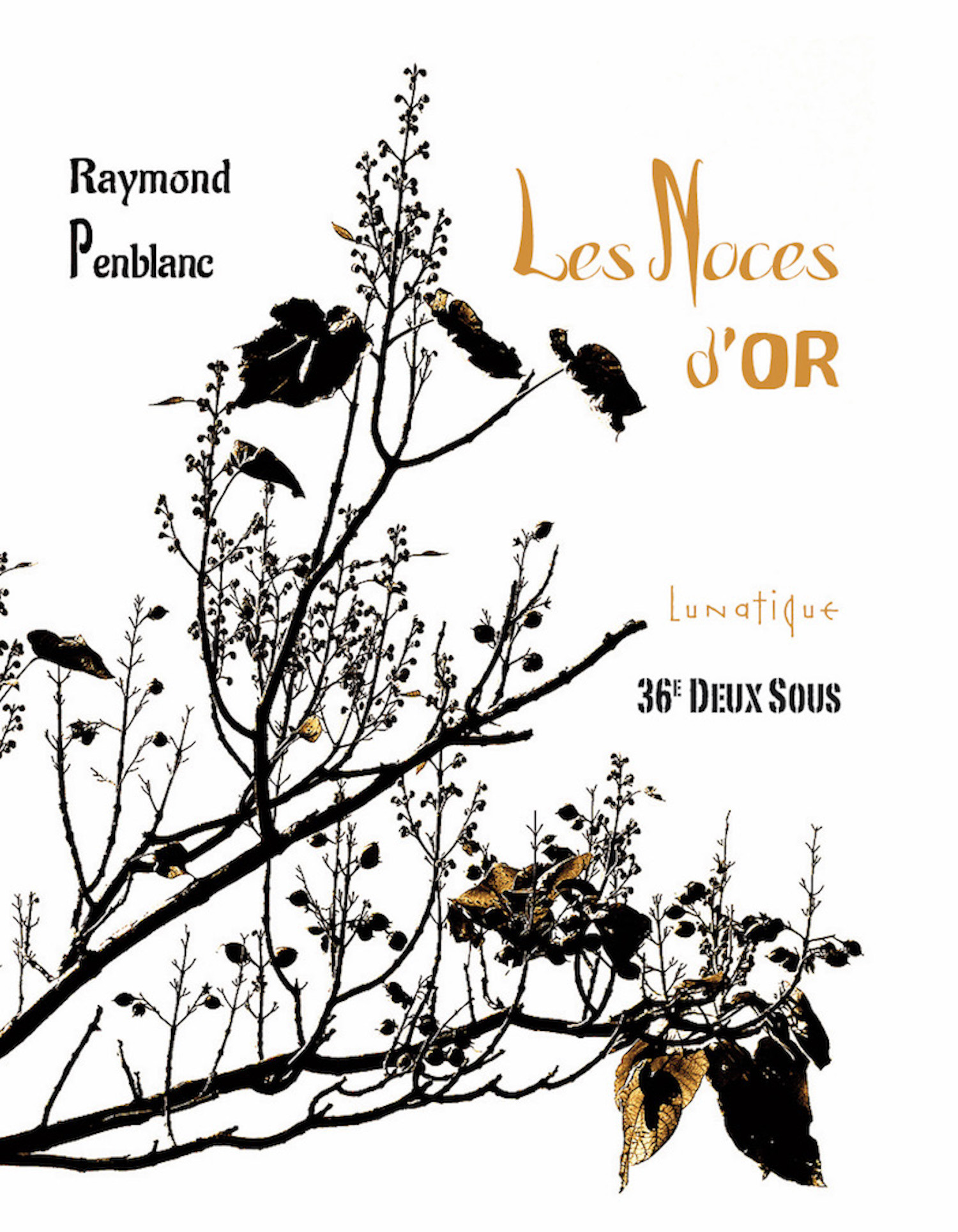 Couverture ebook de Les Noces d'or, de Raymond Penblanc