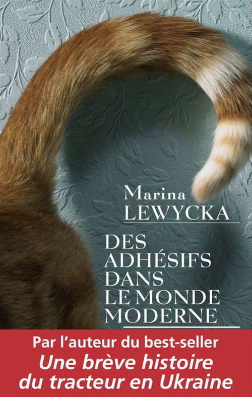 ebook cover of Des adhésifs dans le monde moderne, by Marina Lewycka