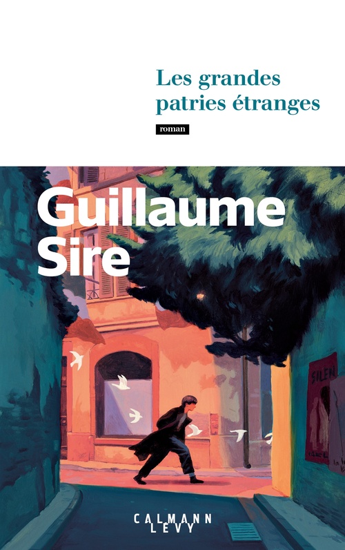 Couverture ebook de Les grandes patries étranges, de Guillaume Sire