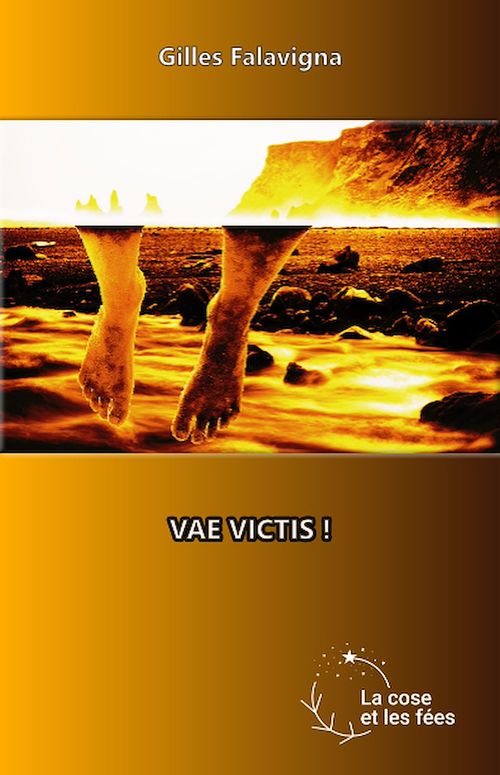 Couverture ebook de Vae victis !, de Gilles Falavigna
