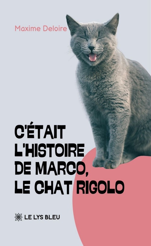 ebook cover of C'était l'histoire de Marco, le chat rigolo, by Maxime Deloire