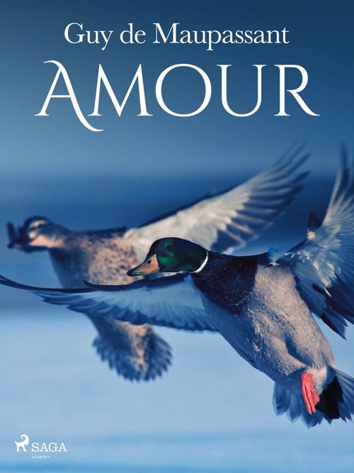 Couverture ebook de Amour, de Guy  De Maupassant