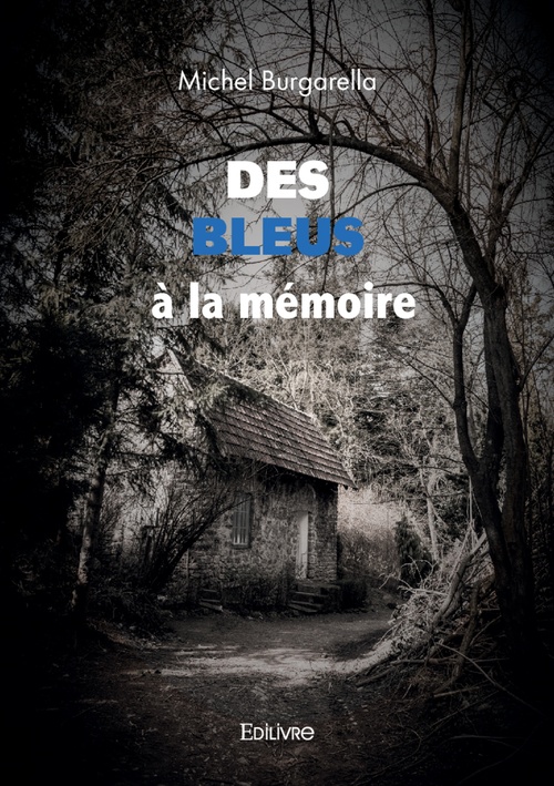 ebook cover of Des Bleus à la mémoire, by Michel Burgarella