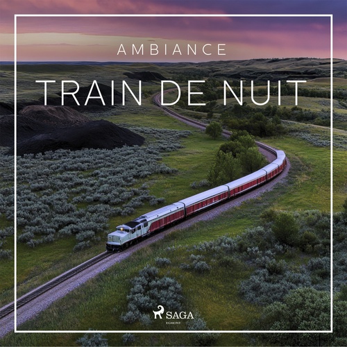 Couverture audiobook de Train de nuit - Bruits d´un wagon-couchette, de Rasmus Broe