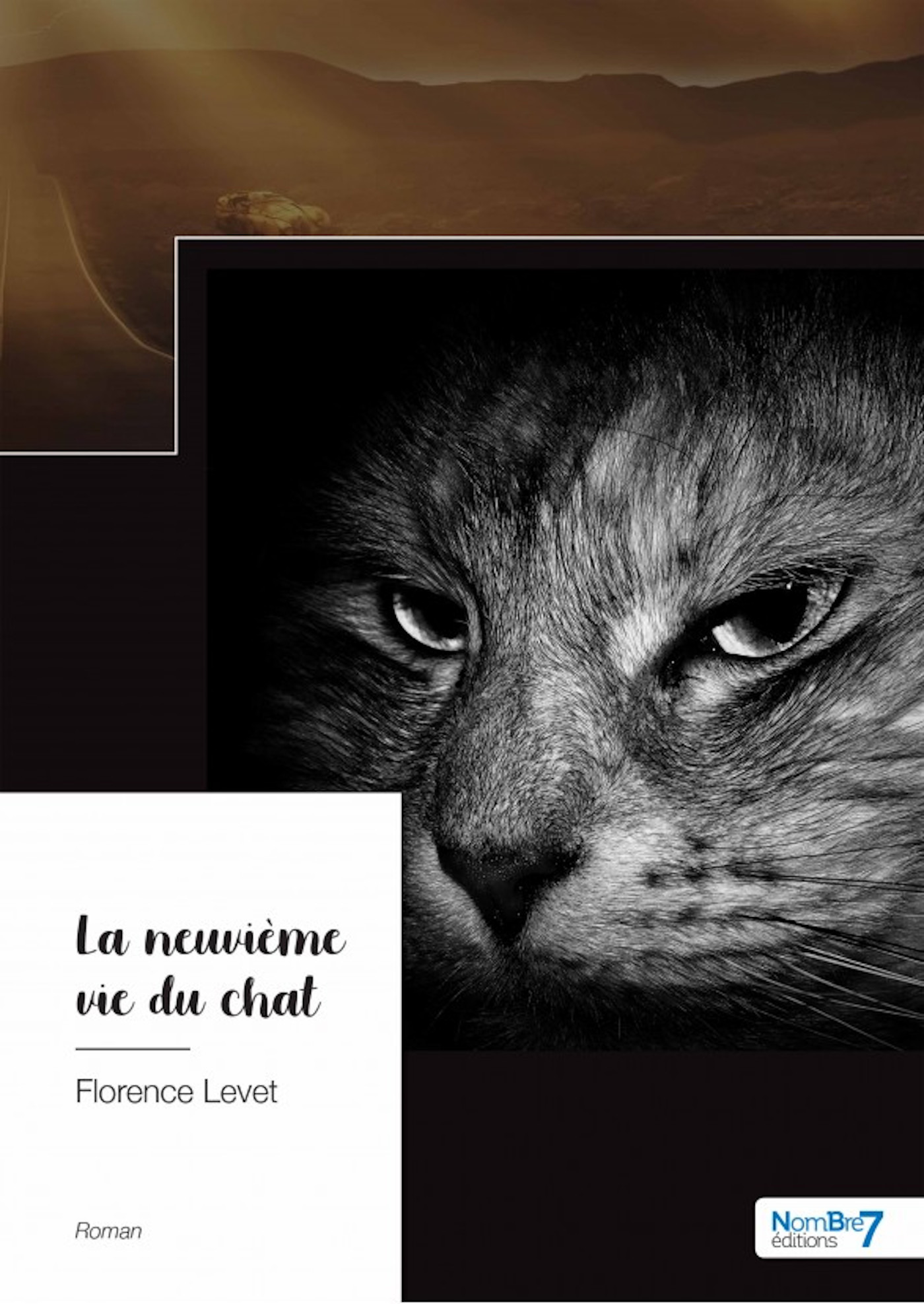 ebook cover of La neuvième vie du chat, by Florence Levet