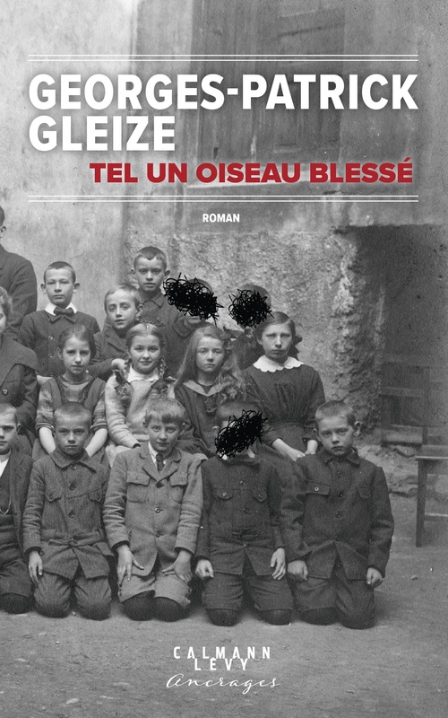 ebook cover of Tel un oiseau blessé, by Georges-Patrick Gleize