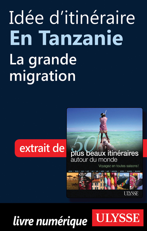 ebook cover of Idée d'itinéraire en Tanzanie : la grande migration, by Collectif