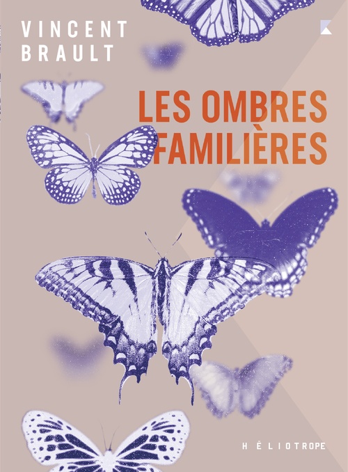 ebook cover of Les ombres familières, by Vincent Brault