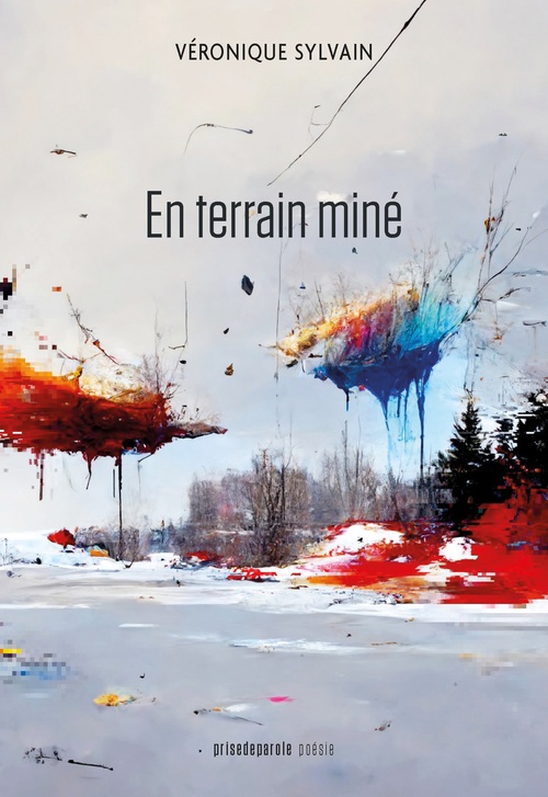 Couverture ebook de En terrain miné, de Véronique Sylvain