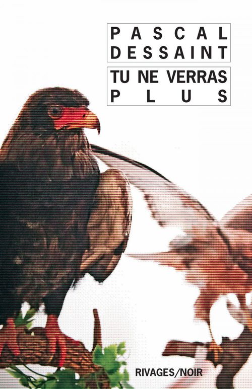 ebook cover of Tu ne verras plus, by Pascal Dessaint