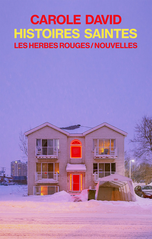 Couverture ebook de Histoires saintes, de Carole David