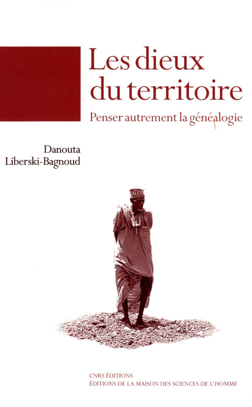 ebook cover of Les dieux du territoire, by Danouta Liberski-Bagnoud