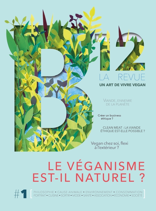 ebook cover of Revue B12 n°1, by Collectif