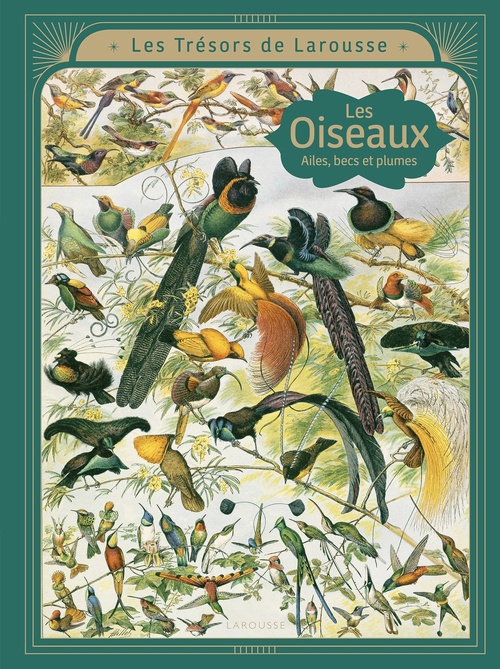 ebook cover of LES OISEAUX - Ailes, becs et plumes, by Emmanuelle Kecir Lepetit