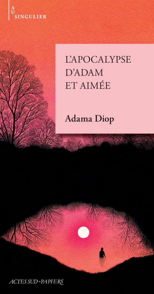 Couverture ebook de L'Apocalypse d'Adam et Aimée, de Adama Diop