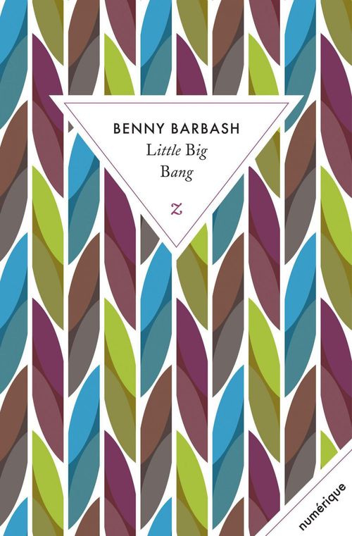 Couverture ebook de Little Big Bang, de Benny Barbash