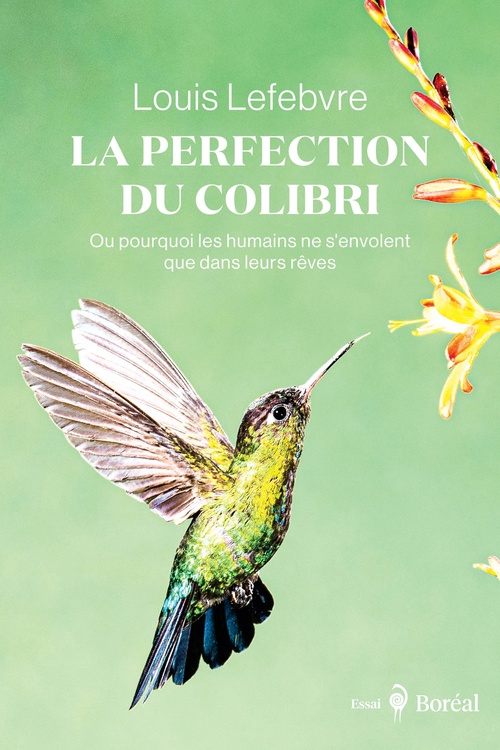 ebook cover of La Perfection du colibri, by Louis Lefebvre