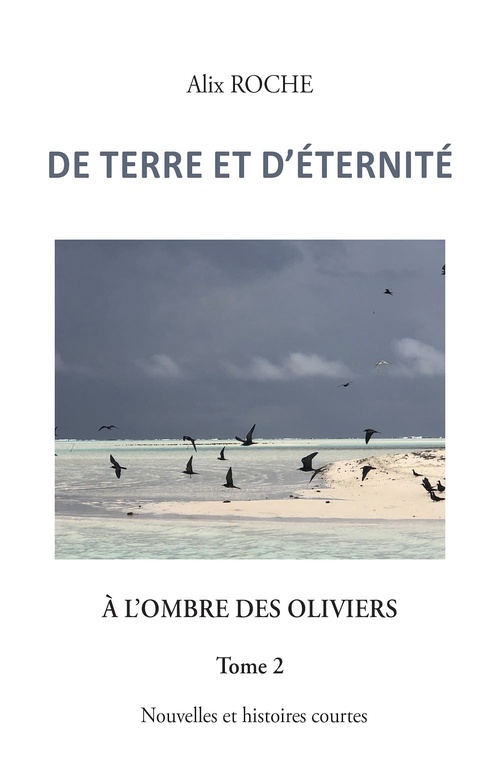 ebook cover of De terre et d'éternité, by Alix Roche