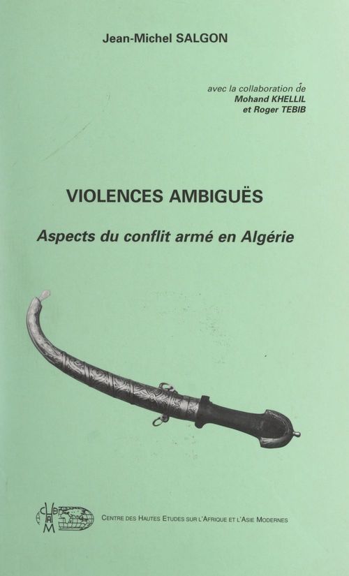 ebook cover of Violences ambiguës, by Jean-Michel Salgon