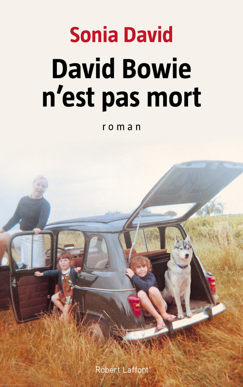 Couverture ebook de David Bowie n'est pas mort, de Sonia David